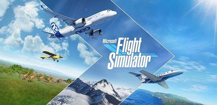 Flight Simulator